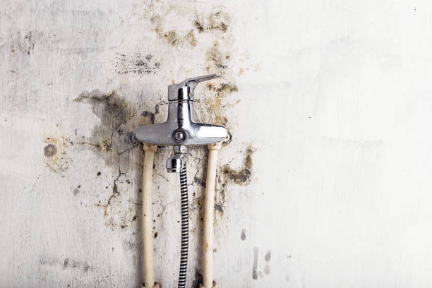 Professional Mold Remediation in East Atlantic Beach, NY